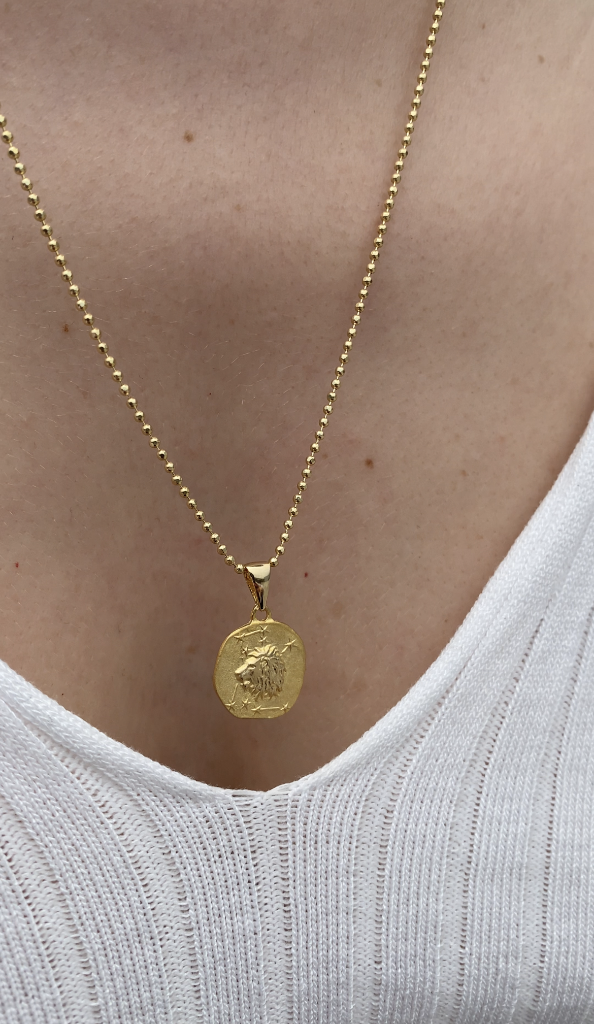 14K Gold Zodiac Lion Necklace - Elegant Lion Necklace - Perfect Gift for Astrology Lovers - Hems Jewellery 