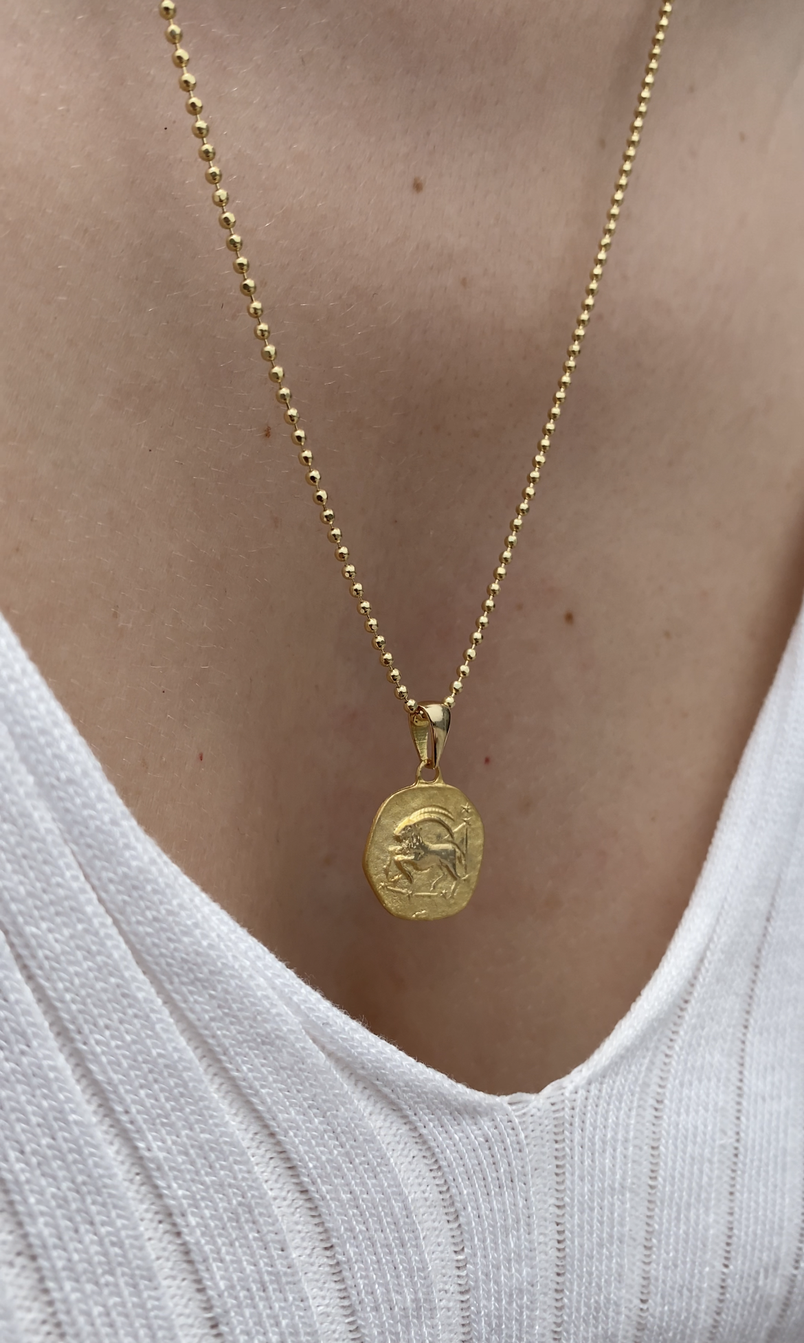 14K Gold Zodiac Capricorn Necklace - Capricorn Pendant - Ideal Gift for Astrology Enthusiasts - Hems Jewellery 